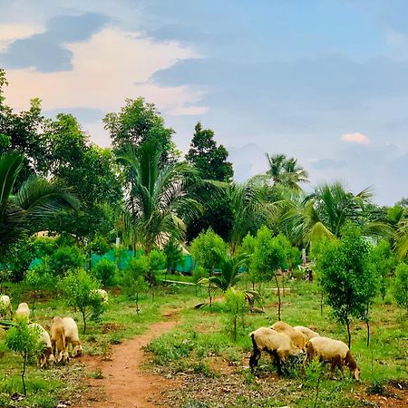 Eco Farm Villa Bangalore Exterior foto