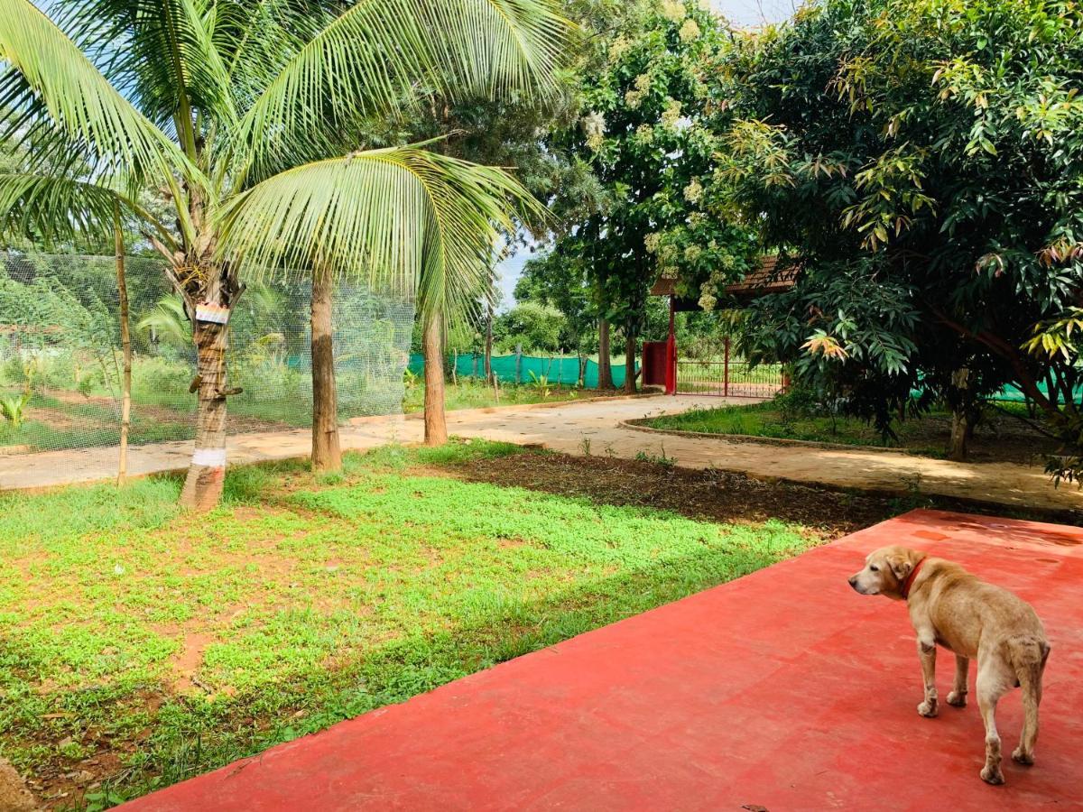 Eco Farm Villa Bangalore Exterior foto