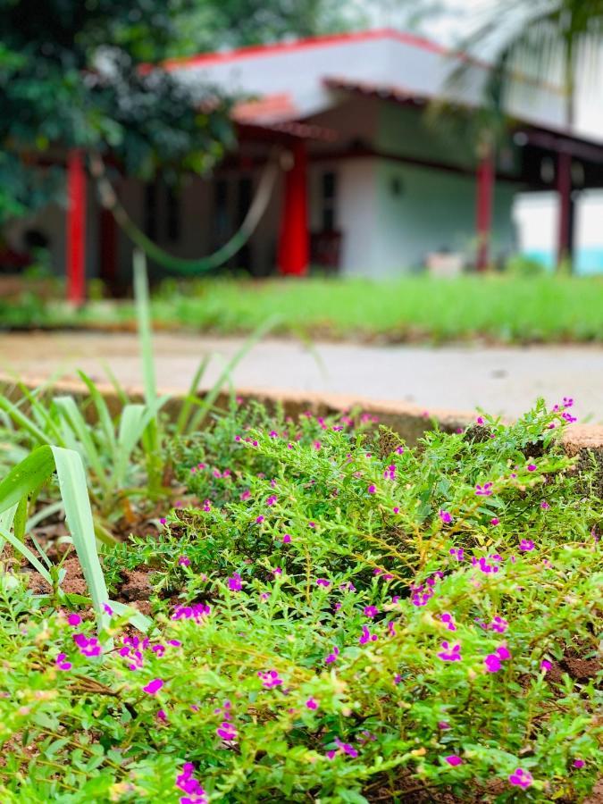 Eco Farm Villa Bangalore Exterior foto